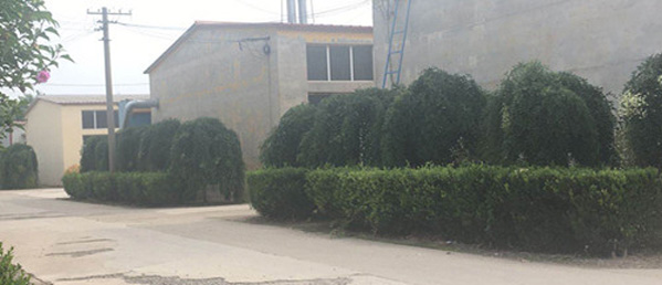 專(zhuān)業(yè)的技術(shù)團(tuán)隊(duì)，為客戶(hù)私人定制